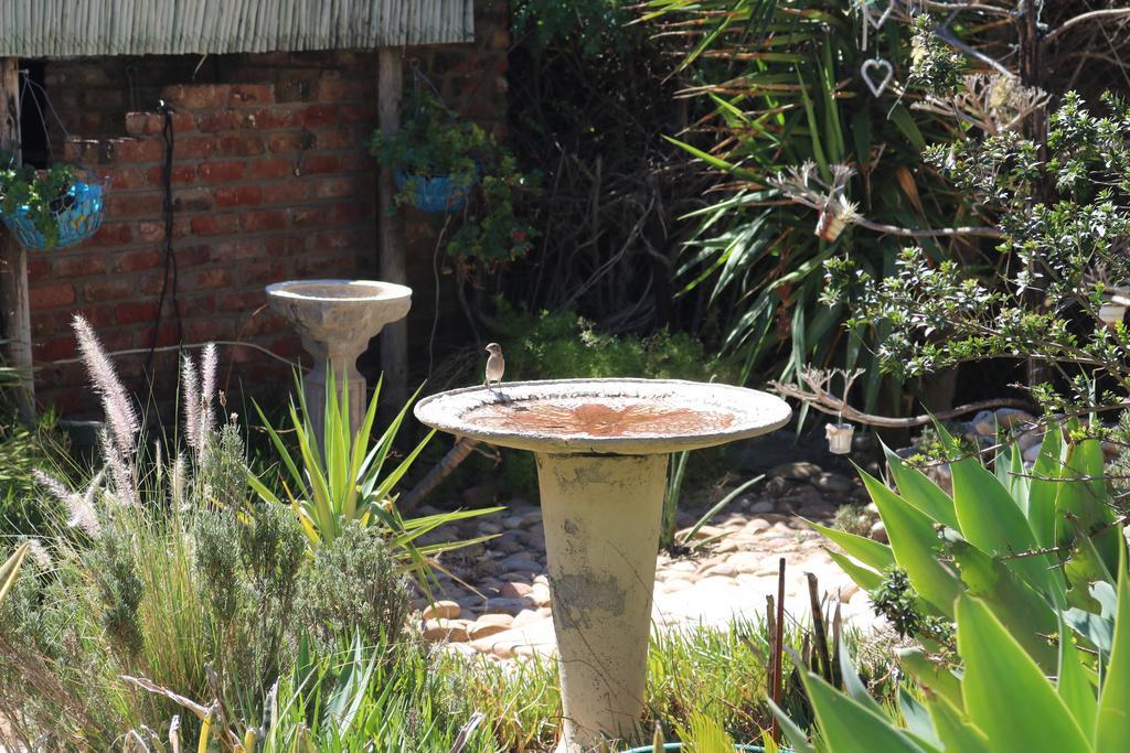 Grysbok Self Catering Accommodation Oudtshoorn Buitenkant foto