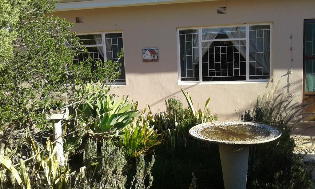 Grysbok Self Catering Accommodation Oudtshoorn Buitenkant foto